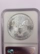 1995 American Silver Eagle $1.  1oz.  Silver Ngc Ms - 69 Silver photo 1