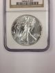1988 American Silver Eagle $1.  1oz.  Silver Ngc Ms - 69 Silver photo 1