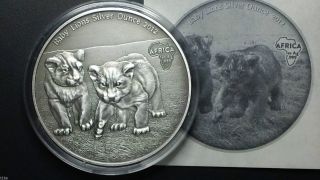 2013 Congo Baby Lions 1 Oz.  999 Fine Silver Coin Antique Finish photo