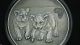 2013 Congo Baby Lions 1 Oz.  999 Fine Silver Coin Antique Finish Africa photo 4