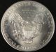 1995 American Silver Eagle Bullion Coin Key Date Choice Gem Bu Nr Silver photo 1