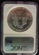 1993 Silver Eagle Ngc Ms69 First Strikes Silver photo 1