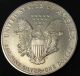 1991 American Silver Eagle Bullion Coin Key Date Investment Grade 1 Oz Silver Silver photo 2