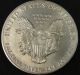 1991 American Silver Eagle Bullion Coin Key Date Investment Grade 1 Oz Silver Silver photo 3
