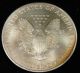 1998 American Silver Eagle Bullion Coin U.  S.  Winter Championships.  999 Silver Silver photo 2