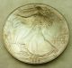 1992 Silver Eagle In Issued Case,  No Slide Cover,  Coin Silver photo 1