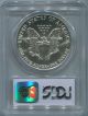 1991 American Silver Eagle $1 - Pcgs Ms 69 - Gem Unc - Silver photo 1
