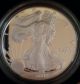 2002 - W Us American Eagle 1 Oz 99.  9% Silver Bullion Proof Coin W/ Box & Silver photo 2