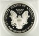 2003 W American Silver Eagle 1oz Proof Coin Pcgs Pr69dcam Graded Slabbed Coin Silver photo 1