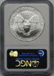 2003 Silver Eagle $1 Ms 69 Ngc 1 Oz Fine Silver Silver photo 1