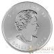 2014 Canada Maple Leaf 1 Oz 9999 Silver Coin Yellow Colorized Maple Leaf Rare Silver photo 1