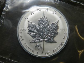 2004 1 Oz Silver Maple Leaf Privy Mark Coin Year Of The Monkey $5 Canada Proof photo