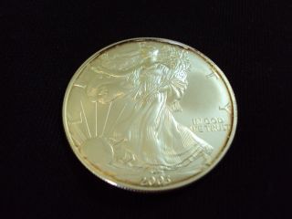 Coinhunters - 2003 American Silver Eagle - State - Toned photo