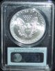 1991 Silver Eagle Pcgs Ms69 First Strike Silver photo 1