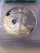 2001 W American Silver Eagle Dollar Icg Certified Proof 69 Deep Cameo Silver photo 1