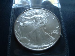 1997 American Silver Eagle photo