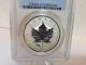 2005 Canada Silver Maple Ve Day Privy Coin Bullion Pcgs Ms 69 (not Ngc) Silver photo 1