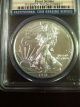 2012 W Silver Eagle Burnished Pcgs Ms70 First Strike Flag Label Perfect Silver photo 1