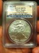 2012 W Silver Eagle Burnished Pcgs Ms70 First Strike Flag Label Perfect Silver photo 4