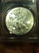 2012 W Silver Eagle Burnished Pcgs Ms70 First Strike Flag Label Perfect Silver photo 5
