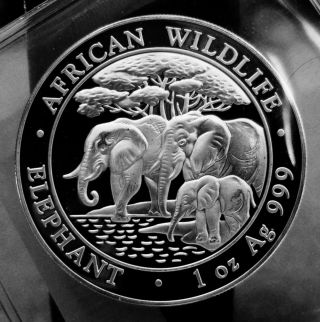 Africian Wildlife Silver One Ounce ' 2013 ' Coin ' Elephant Family ' photo