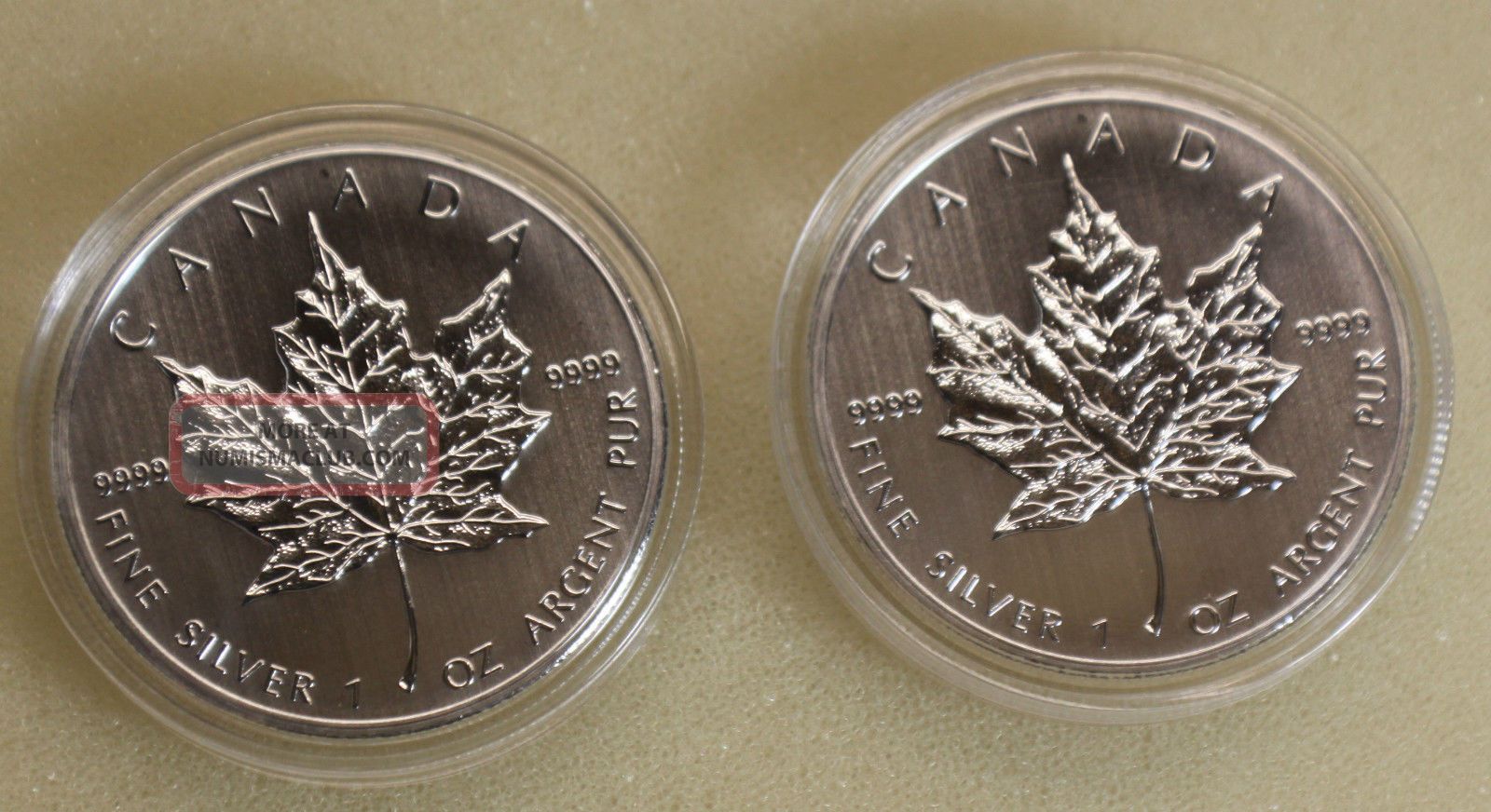 canadian silver maple leaf for sale
