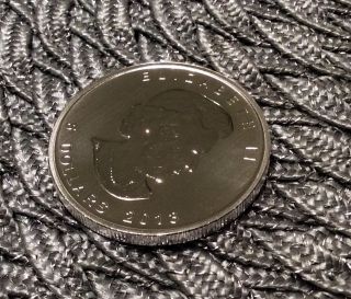 Silver 2013 Canadian Maple Leaf 1 Oz.  9999 Fine.  Coin photo