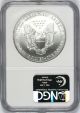 2003 Silver American Eagle $1 Ngc Ms69 Silver photo 1