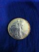 2001 Silver American Eagle One Dollar 1 Troy Ounce.  999 Silver Coin Silver photo 2