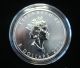2002 Hologram Silver 9999 Canadian Maple Leaf 5$,  15th Anniv.  Of The Dollar Loon Silver photo 1