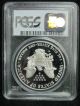 2001 - W Pcgs Proof 69 Dcam Silver Eagle Silver photo 1