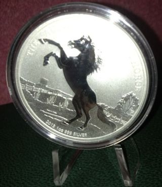 2013 Australian Stock Horse 1 Oz 999 Silver Coin With photo