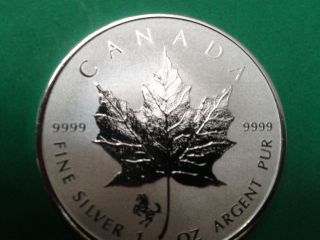 2014 1 Oz Silver Canadian Maple Leaf - Horse Privy - Reverse Proof photo