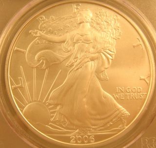 2006 - Silver Eagle Pcgs Ms69 - First Strike photo