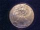 1996 U.  S.  One Troy Ounce Fine Silver Eagle One Dollar Coin - Key Date Silver photo 2