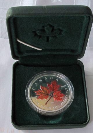 2001 Canada Silver Maple Leaf Dollars Coloured Autumn 9999 Pure photo