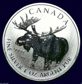 2012 Moose Canadian Wildlife Series 1 Oz.  999 Pure Silver Coin photo