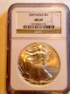 2009 Ngc Ms69 Silver American Eagle Certified One Ounce Gem Silver photo 1