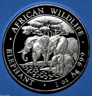2013 African Elephant 1 Oz Pure.  999 Somalian Silver Coin photo