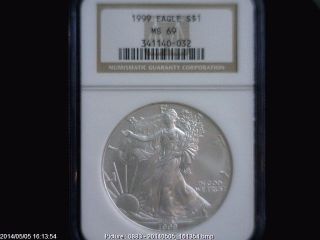 1999 Eagle S$1 Ngc Ms 69 American Silver Coin 1oz photo