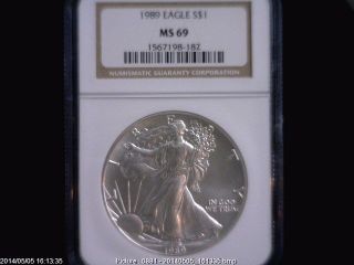 1989 Eagle S$1 Ngc Ms 69 American Silver Coin 1oz photo