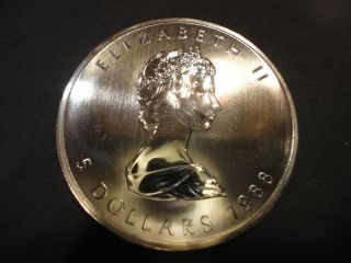 1988 Canada Elizabeth Ii 5 Dollars 1 Toz.  999 Maple Leaf Fine Silver Coin Round photo