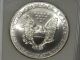 2000 American Eagle Millennium Single Coin Ngc Ms69 Rear Silver photo 3