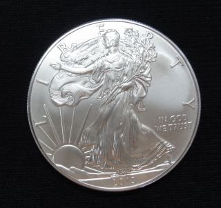 2013 1 Oz Silver American Eagle - Now photo