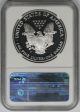 1993 - P American Silver Eagle $1 Proof Pf 69 Ultra Cameo Ngc Silver photo 1