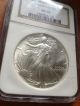 1986 Silver Eagle Ngc69 Silver photo 1