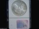 2003 Eagle S$1 Ngc Ms 69 American Silver Coin 1oz Silver photo 1