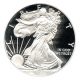 2014 - W Silver Eagle $1 Pcgs Proof 70 Dcam (first Strike,  Doily Label) Silver photo 1