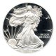 2014 - W Silver Eagle $1 Pcgs Proof 70 Dcam (first Strike,  Silver Foil Label) Silver photo 1