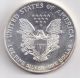 1995 1 - Troy Ounce American Silver Eagle 1 - Troy Oz. .  999 Silver Silver photo 1